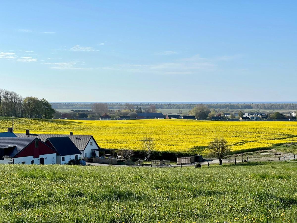 Backadal Gard Bnb Ystad Εξωτερικό φωτογραφία